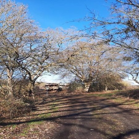 Exklusive Naturoase Direkt Am Ars Natura Wanderweg Mit Panoramablick Auf メルズンゲン エクステリア 写真