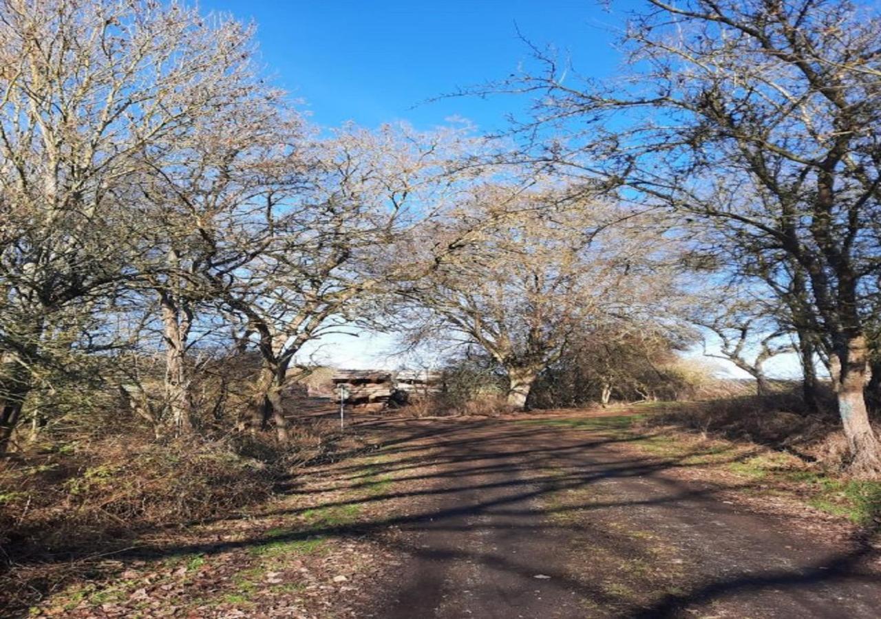 Exklusive Naturoase Direkt Am Ars Natura Wanderweg Mit Panoramablick Auf Melsungenアパートメント エクステリア 写真